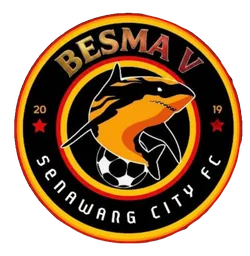 BESMA V logo